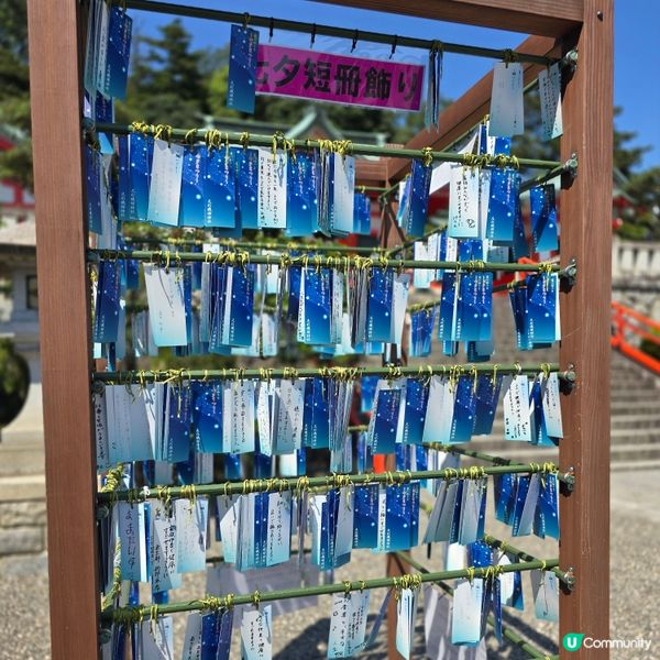 足利7色鳥居⛩️一次過滿足你7個願望🤩🤩