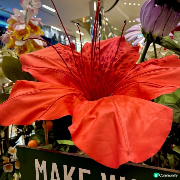 太古城打卡熱點！🌳🦋