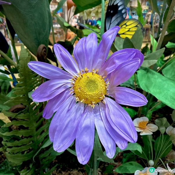 太古城打卡熱點！🌳🦋