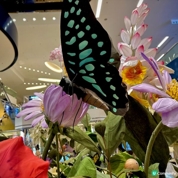 太古城打卡熱點！🌳🦋