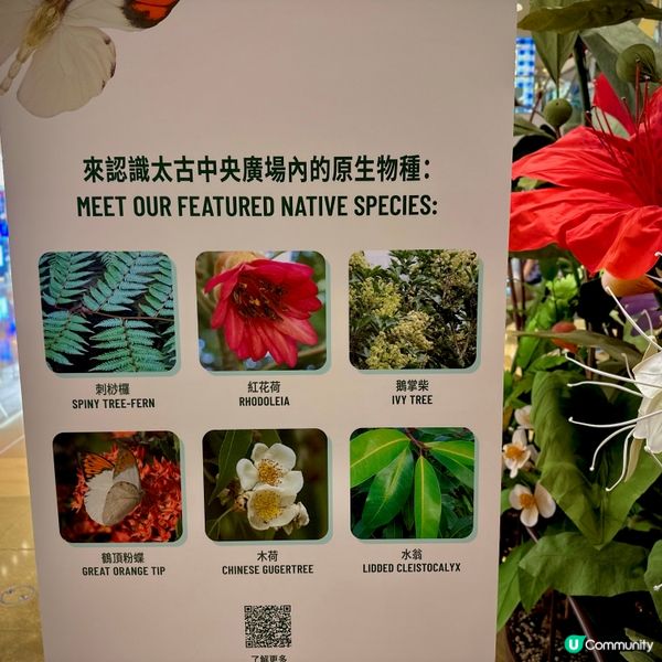 太古城打卡熱點！🌳🦋