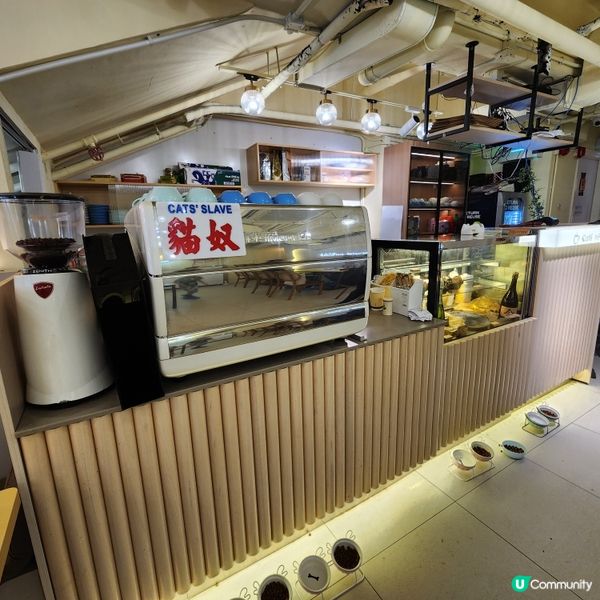 喵～長沙灣chill and cute 貓咪cafe🐱
