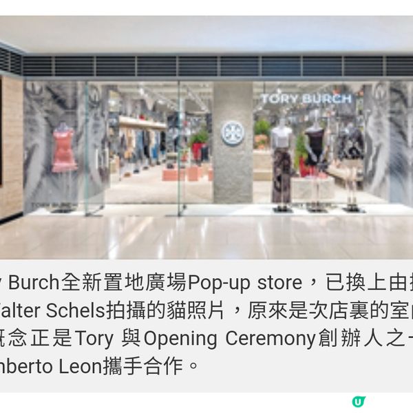 Tory Burch 貓出沒請注意