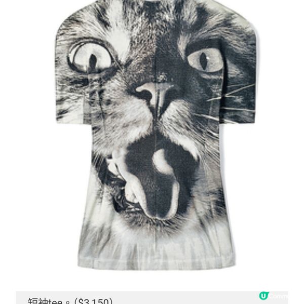 Tory Burch 貓出沒請注意