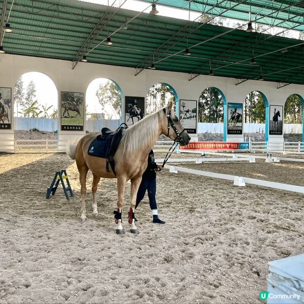 小城有大愛！趁著暑假尾聲帶大家走進宮崎駿動漫色彩世界，黎到位...