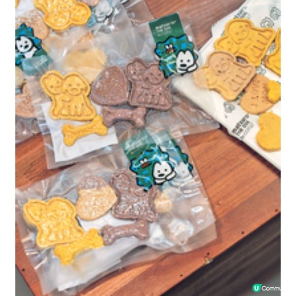 日本插畫家 松井一將首個海外 作品展 人氣療癒狗狗登陸澳門