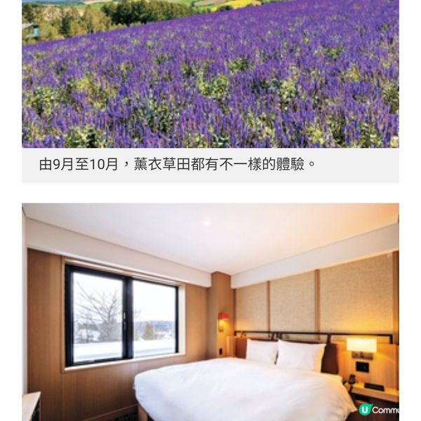 富良野北廣島市新落成酒店 全方 位領略北海道秋季自然美