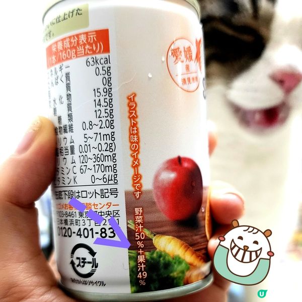 🇯🇵 健康飲品⁉️野菜+果汁嘅「果昔」🤔 超好飲‼️