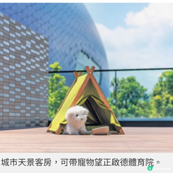 比鄰未來開騷新地標體育園啟德 帝盛酒店