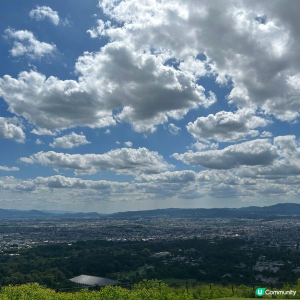 奈良若草山