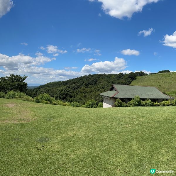 奈良若草山