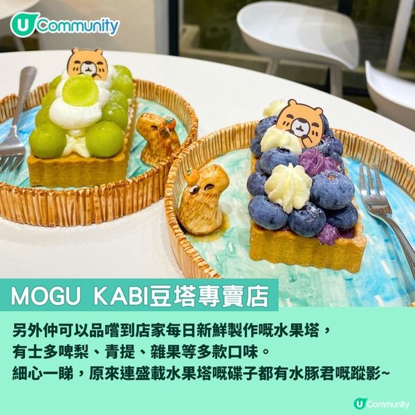 台南文青深度遊行程😍│復古歐風／水豚cafe／大型文創展