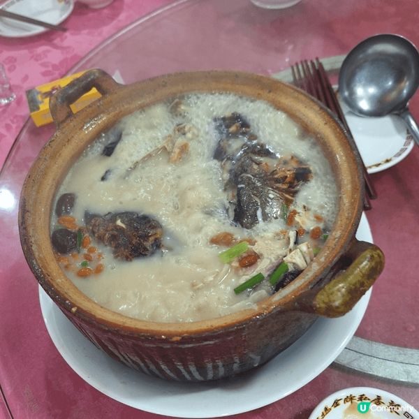 旅行美食，同家人?深圳之旅一天遊，有得飲有得食幾好玩