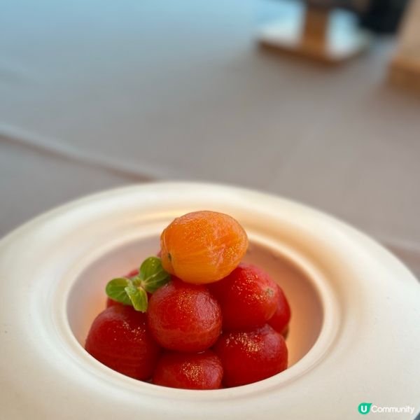 登上黑珍珠餐廳指南🖤川味融合菜 椿廬🌶️