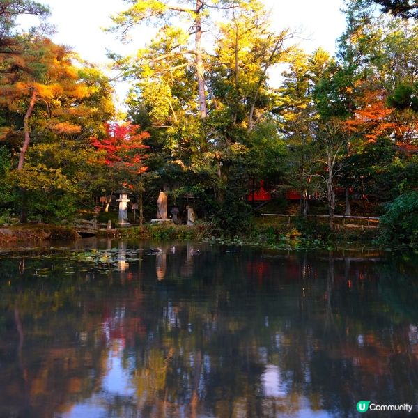 🍁 金澤兼六園:打卡紅葉仙境,感受江戶風情