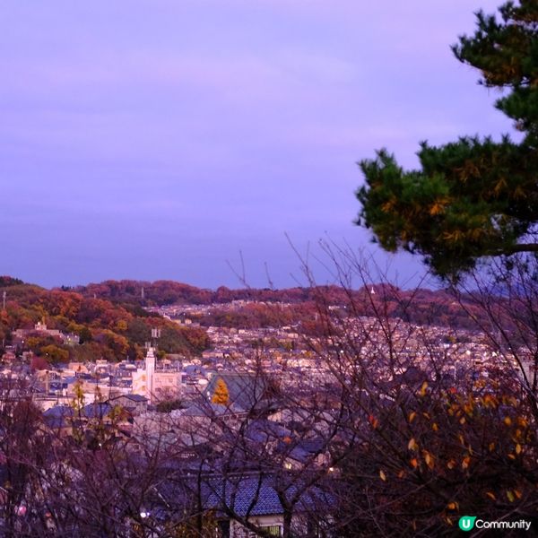 🍁 金澤兼六園:打卡紅葉仙境,感受江戶風情