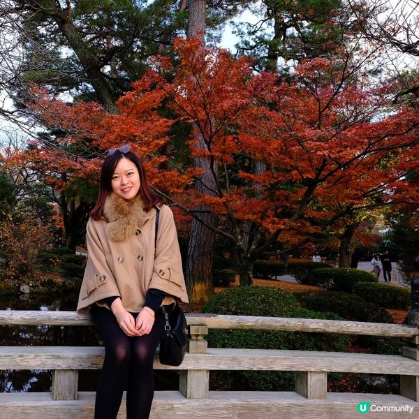 🍁 金澤兼六園:打卡紅葉仙境,感受江戶風情