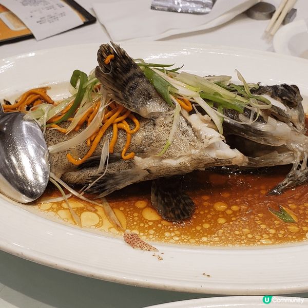 豐富晚餐@上環美心皇宮