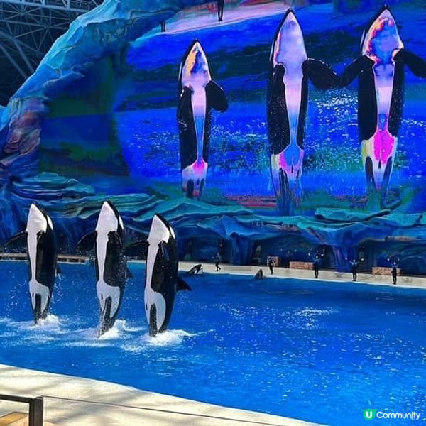 長隆度假區特價優惠！