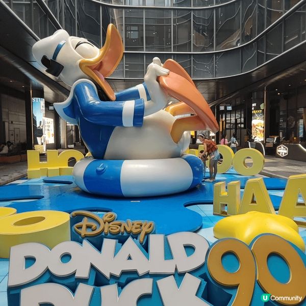 去了南山的唐老鴨展覽，巨大的唐老鴨相信唔是fans都會覺得可...