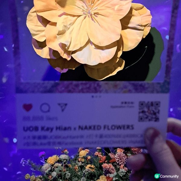 位於尖沙嘴1881的Naked Flowers 是一個沉浸式...