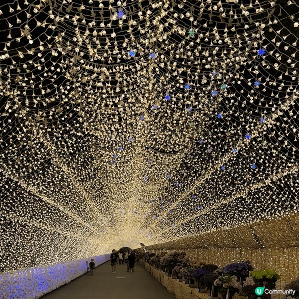 相中介紹係名古屋名花之里公園！我推薦大家要黃昏入?啦！遊覽公...