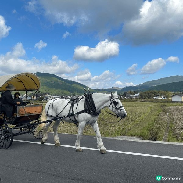 紅葉季節去日本由布院，見到真馬車，非常Chill
