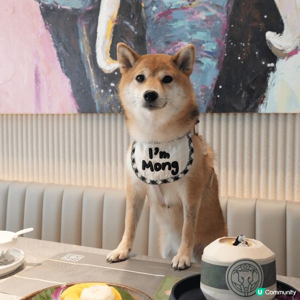 超好食，泰國芒果糯米飯，芒果飯有兩款口味一款係正常糯米米另一...