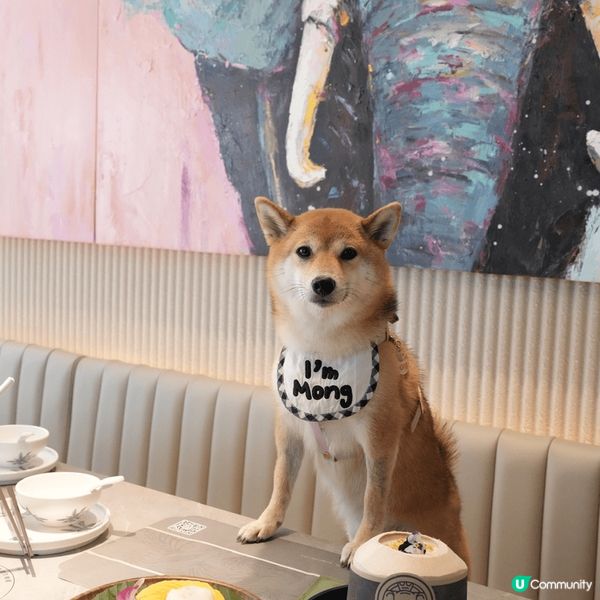 超好食，泰國芒果糯米飯，芒果飯有兩款口味一款係正常糯米米另一...