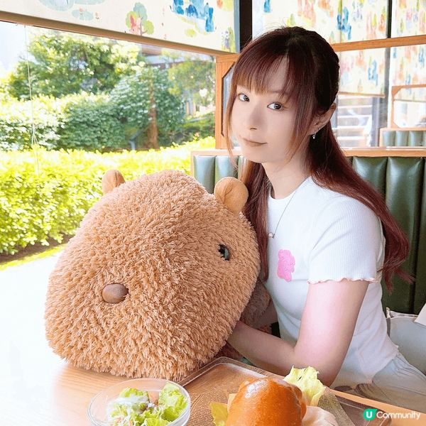 位於伊豆高原的「 伊豆仙人掌動物園 」是泡著露天溫泉的水豚發...