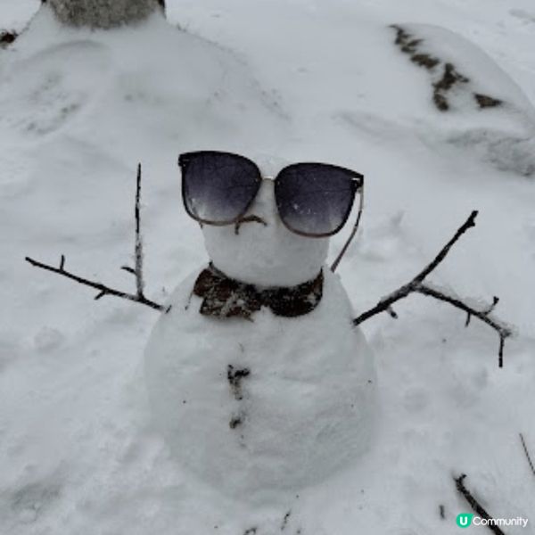 上年12月去?名古屋玩雪, 最開心係去到高山區坐纜車上雪山,...