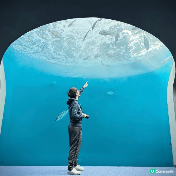 係生命同水?故事由呢70個水景開始...?太平洋同瀨戶內海?...