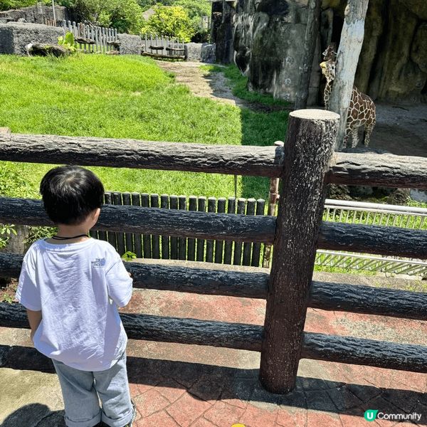 帶小朋友去旅行係最開心，可以接觸多?大自然。香港冇動物園，所...