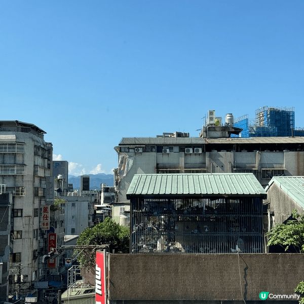 台北酒店的景色 每天都能看到很多鴿