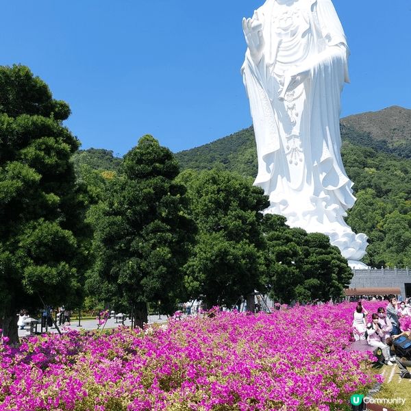 大埔慈山寺,觀音像慈悲為懷,瞭望平靜大海,倍感寧靜舒暢.