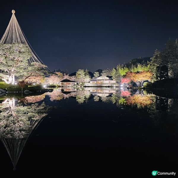 疫情之後的日本旅程，秋天的日本配上最美的夜景，再加上紅葉。