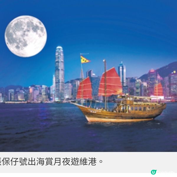 感受海上生明月浪漫意境 中秋應 節萌兔慶團圓