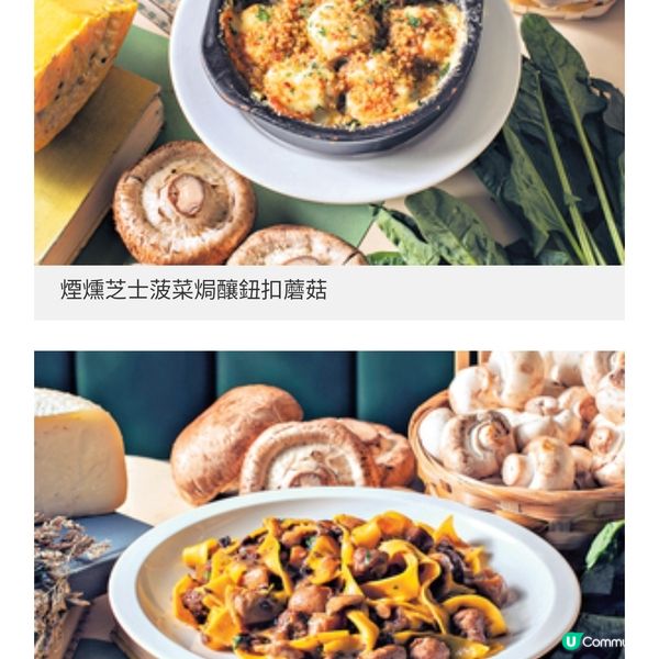 感受海上生明月浪漫意境 中秋應 節萌兔慶團圓