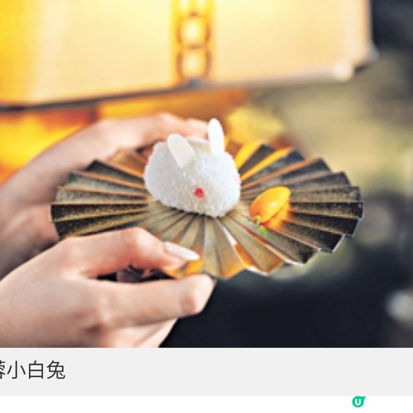 感受海上生明月浪漫意境 中秋應 節萌兔慶團圓