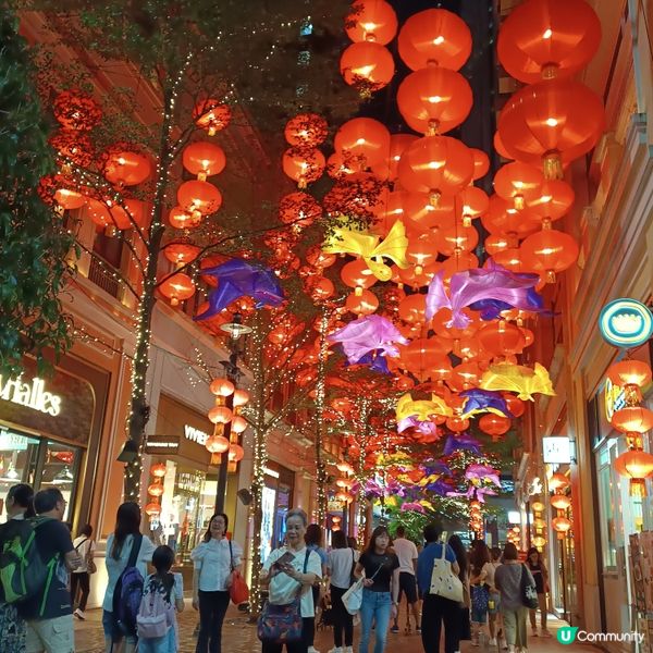 灣仔利東街🏮  800個燈籠海，浪漫中秋夜！🤩