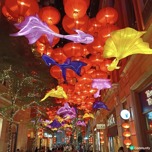 灣仔利東街🏮  800個燈籠海，浪漫中秋夜！🤩