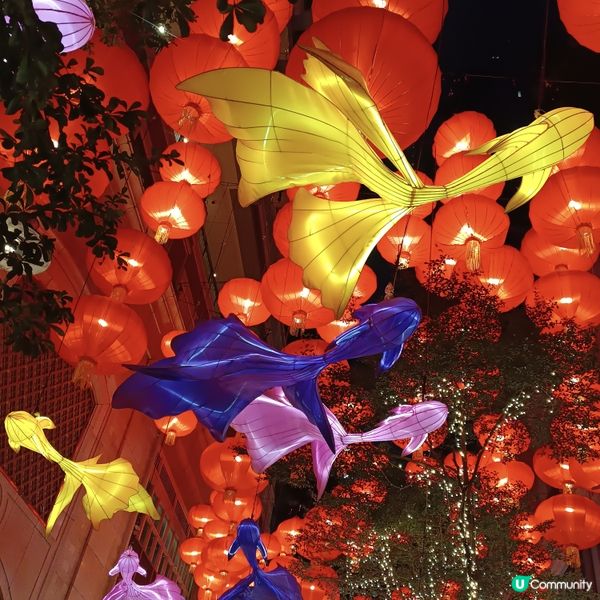 灣仔利東街🏮  800個燈籠海，浪漫中秋夜！🤩