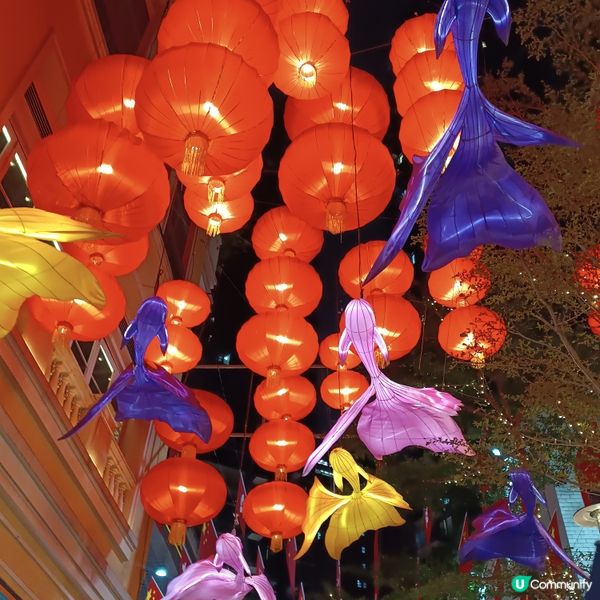 灣仔利東街🏮  800個燈籠海，浪漫中秋夜！🤩