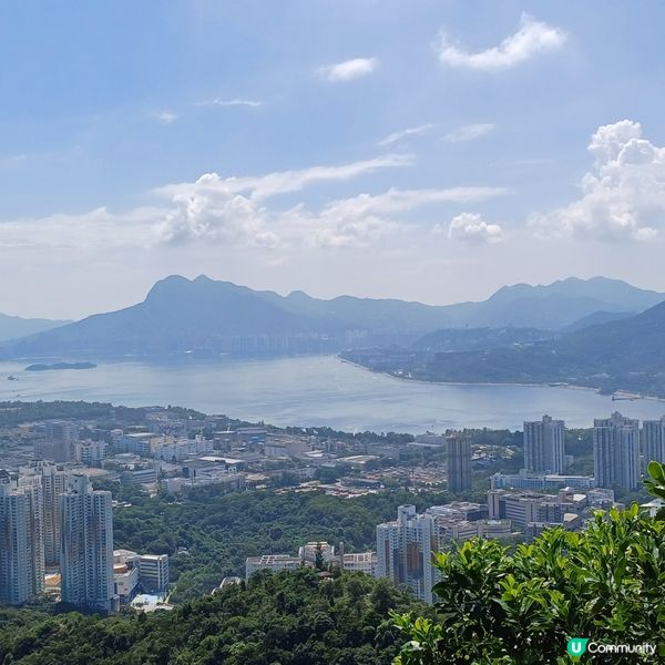 大埔頭-九龍坑山-大埔頭