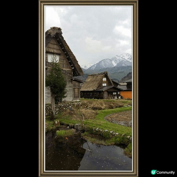 日本白川鄉合掌村的特色茅草屋，是聯合國教科文組織推介的世界遺...