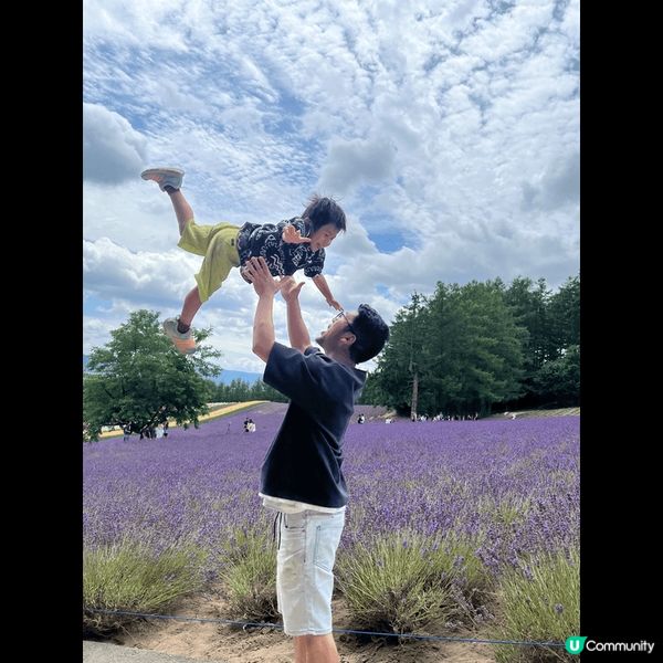 北海道富田農場