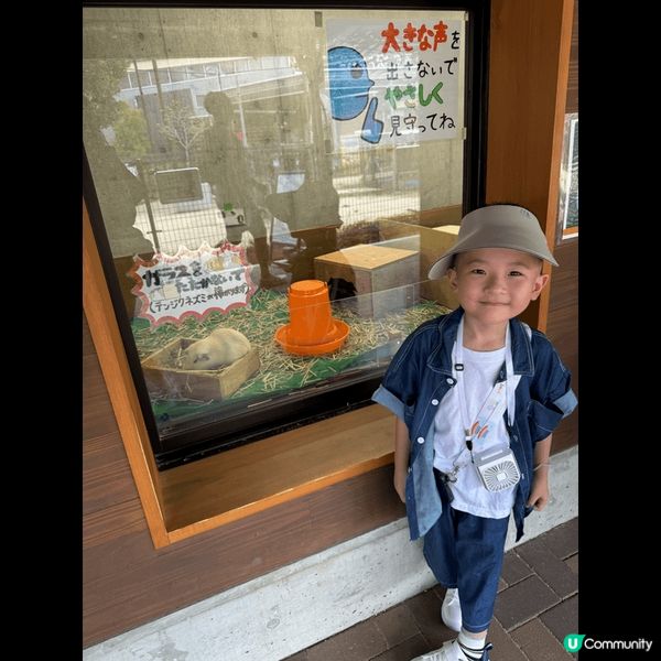 一家三口去了大阪天王寺動物園，孩子非常喜歡這地方。