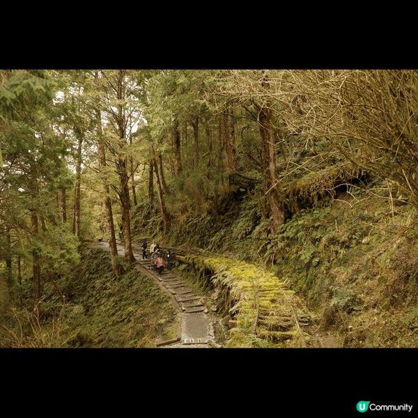 見晴懷古步道位於台灣宜蘭縣太平山國家森林遊樂區內，是一條長約...