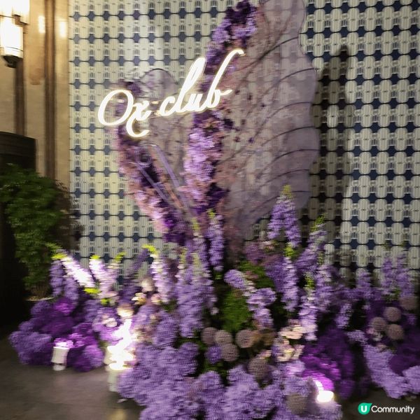 從胡志明市坐河輪去柬埔寨金边之旅，美食是金边法國莱