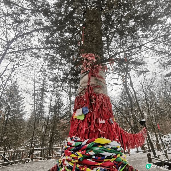 哈爾濱之旅，天氣非常非常凍，影相也要快，不然會凍傷手。